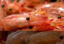 Cabeza de camarón: De residuo a alimento