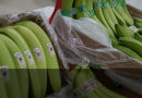 Exportadoras fueron denunciadas ante el MAG por el no pago del PMS de la caja de banano