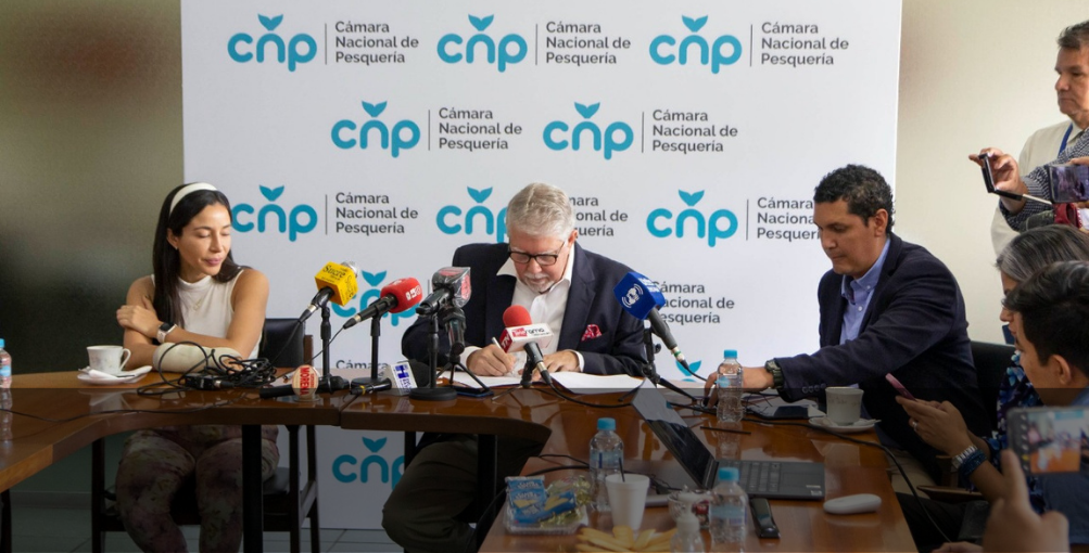 Se inicia proyecto de certificación para la pesquería del camarón pomada