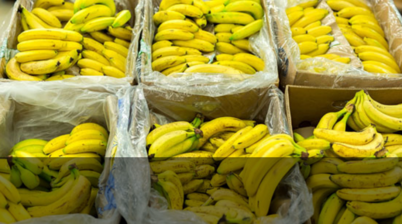En mayo, las importaciones Chinas de bananos experimentaron un incremento interanual del 15,85%￼