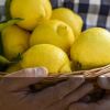 Científicos de Brasil descubren que el limón contiene de forma natural sustancias que pueden combatir la COVID-19￼