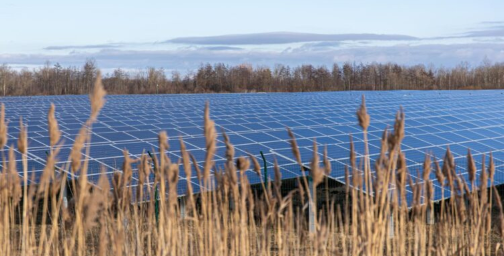 Beneficios de la energía solar en el sector de la agricultura