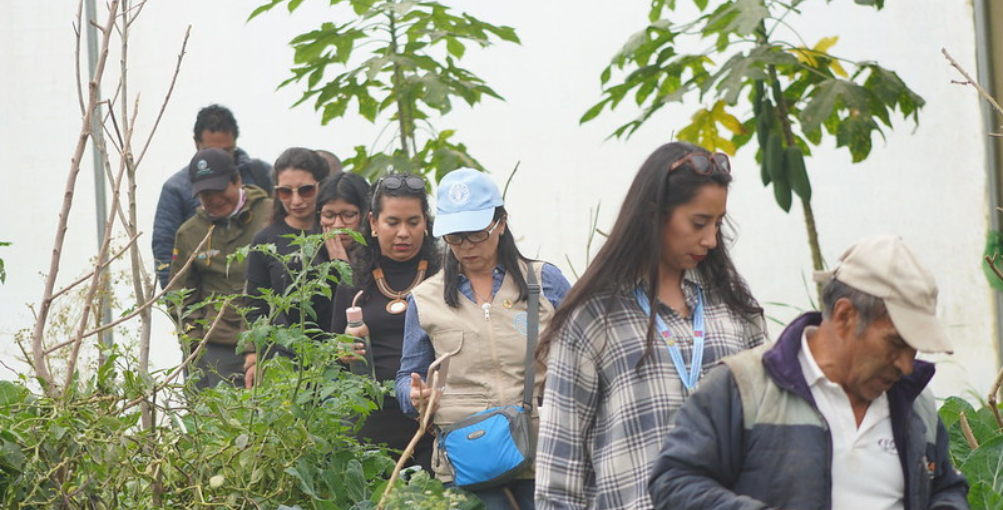 Fortalecen 22 organizaciones agrícolas en Napo, Chimborazo y Morona Santiago
