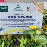 3 razones por las que los jardines polinizadores podrían mermar los efectos del calentamiento global