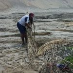 Caballitos de totora: el ocaso silencioso