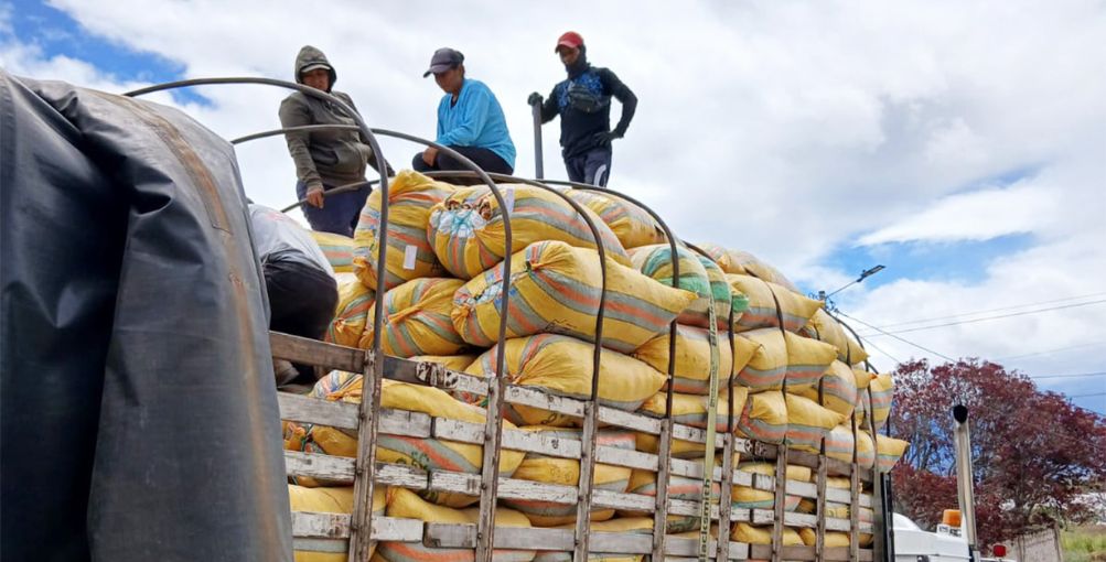 Guarango ecuatoriano fortalece economía rural con nueva exportación hacia Perú
