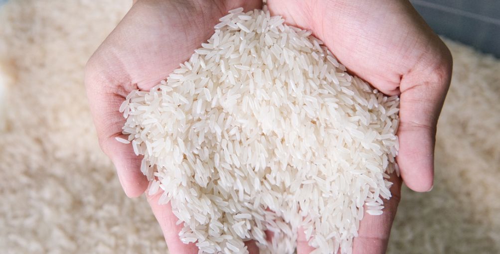 Ecuador busca más mercados para excedentes de arroz
