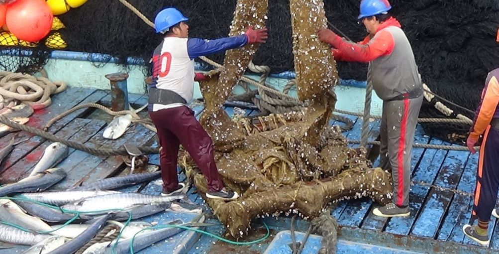 ¿Qué son los EcoFADs y cómo están transformando la pesca de atún en el Pacífico?