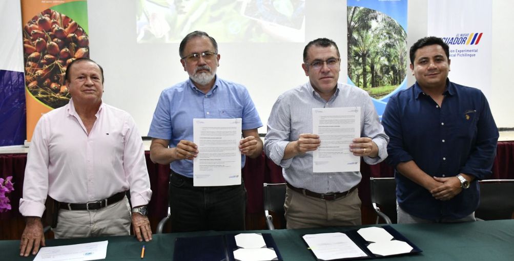 Palma aceitera: ¿Qué busca la nueva alianza entre INIAP y ANCUPA?