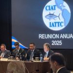 Nuevas medidas para el atún tropical tras la 103.ª reunión de la CIAT