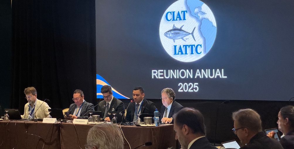 Nuevas medidas para el atún tropical tras la 103.ª reunión de la CIAT