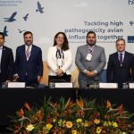 Influenza aviar: alertan sobre creciente amenaza para la salud animal, humana y la seguridad alimentaria