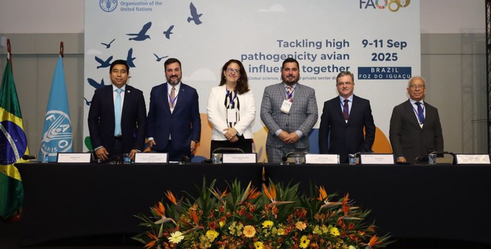 Influenza aviar: alertan sobre creciente amenaza para la salud animal, humana y la seguridad alimentaria