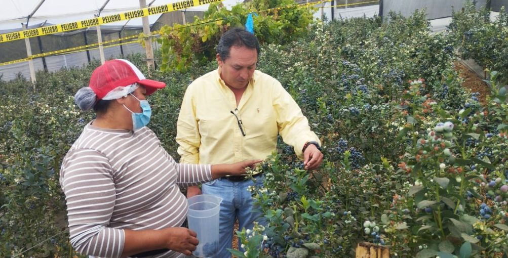 Más de 108 mil productores agropecuarios logran ventas directas por USD 41 millones
