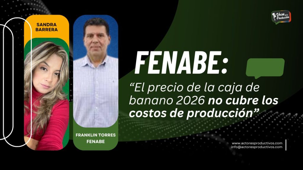 FENABE: “El precio de la caja de banano 2026 no cubre los costos de producción”