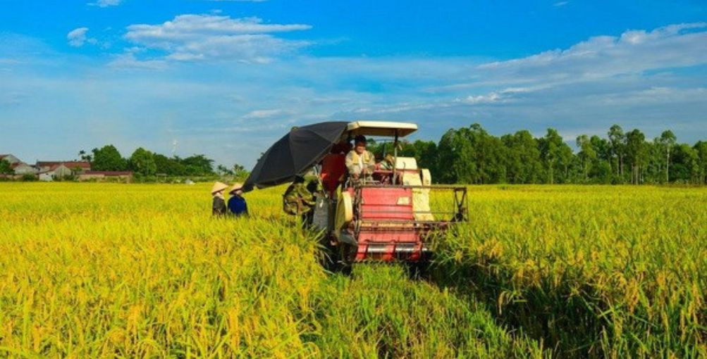 Agricultura baja en emisiones: Vietnam acelera su transición hacia una producción sostenible al 2050