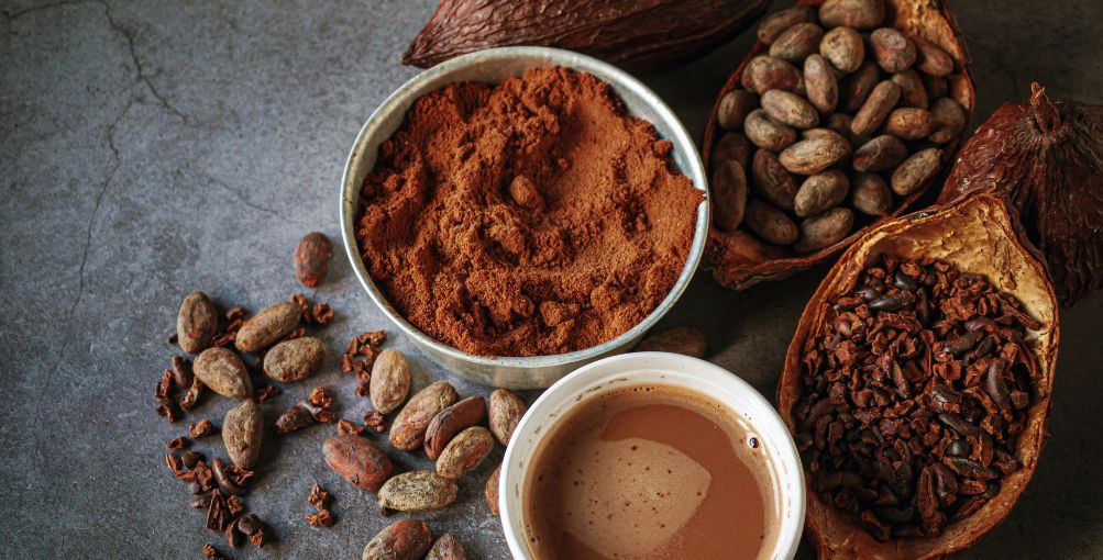 Consumir cacao diariamente podría prevenir enfermedades cardíacas relacionadas con la edad, según estudio