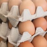 Precio de la cubeta de huevo cae por debajo del costo de producción y pone en riesgo al sector avícola, advierte UNIPROH