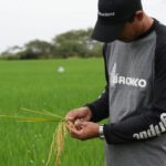 Soluciones agrícolas para el invierno: Agripac impulsa estrategias para proteger cultivos frente a plagas y enfermedades