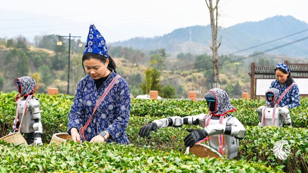 La innovación tecnológica impulsa nuevos escenarios en la agricultura china